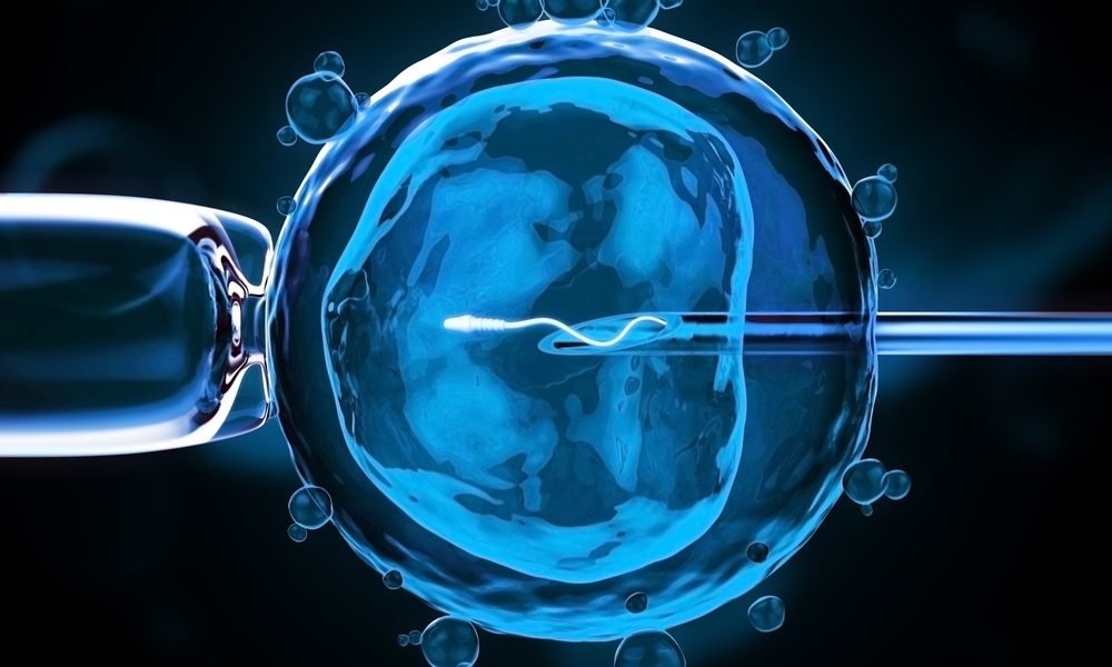 IVF underway with sperm and egg closeup
