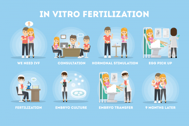 Photo explaining and showing the In Vitro Fertilization Process